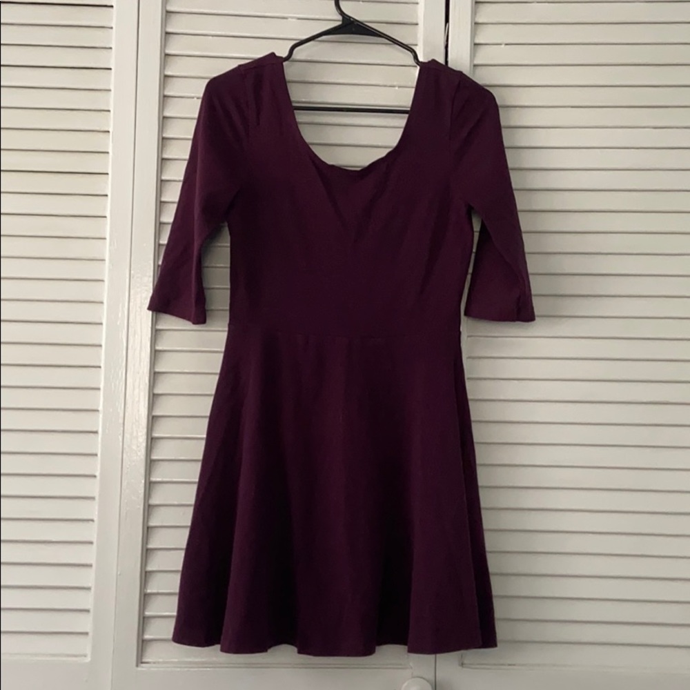 Express Plum Skater Dress